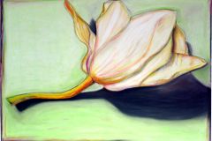 Anniversary-flower